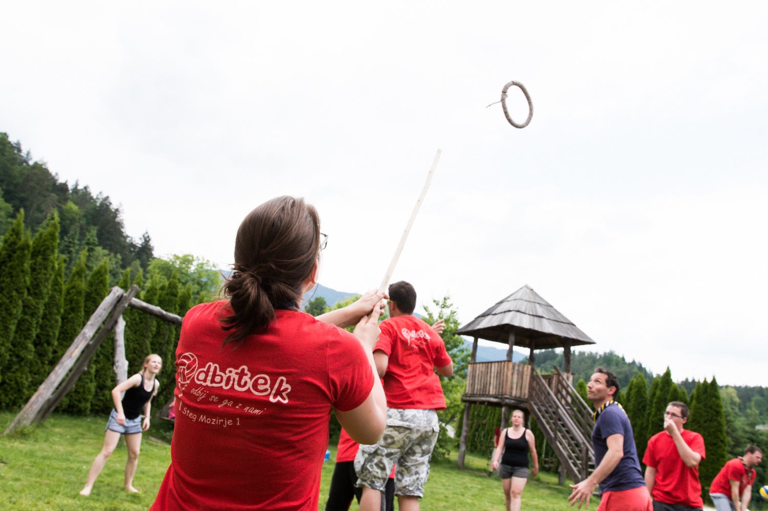 Spremljevalni program