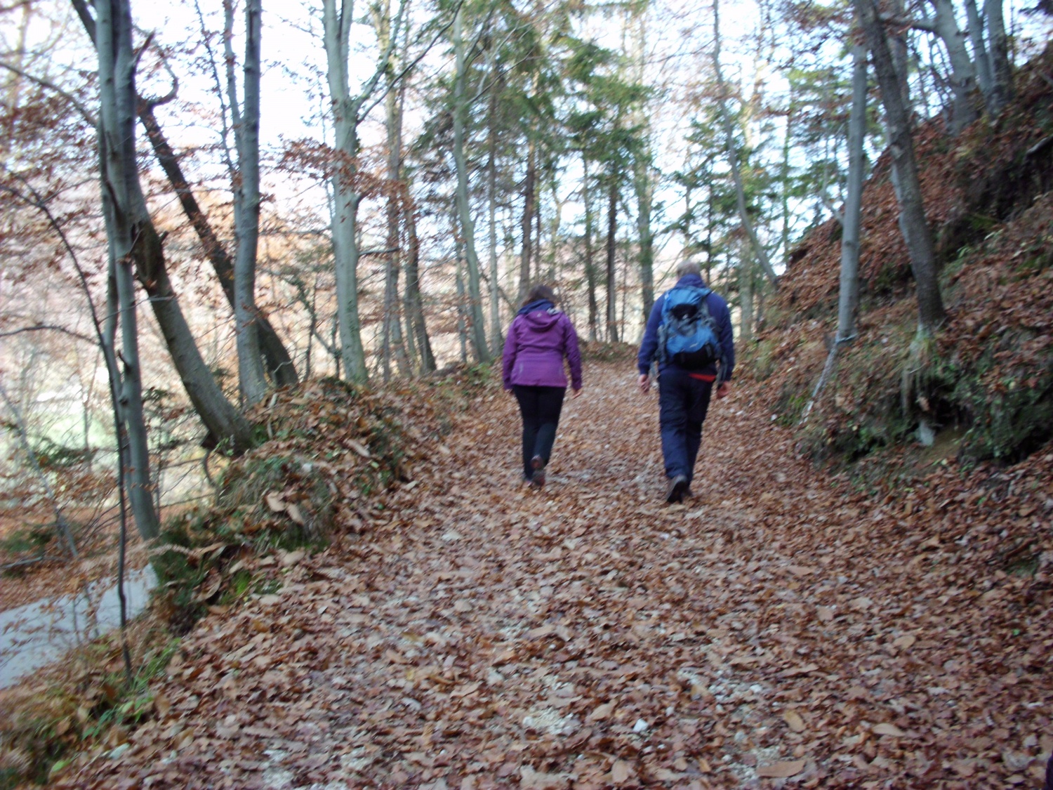 odpadlo listje pod nogami