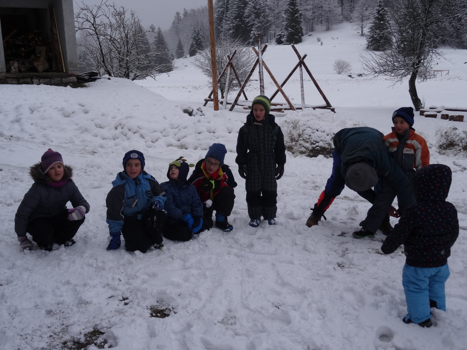 Ali narava pozimi res spi?