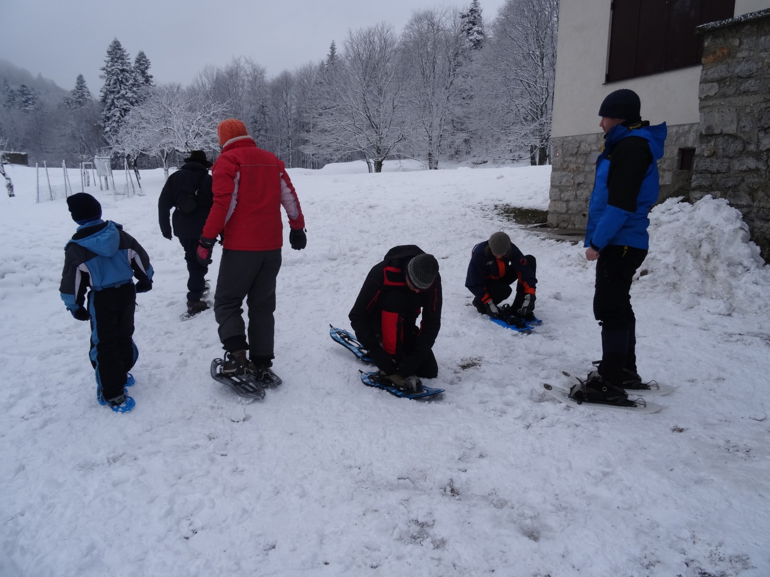 Ali narava pozimi res spi?