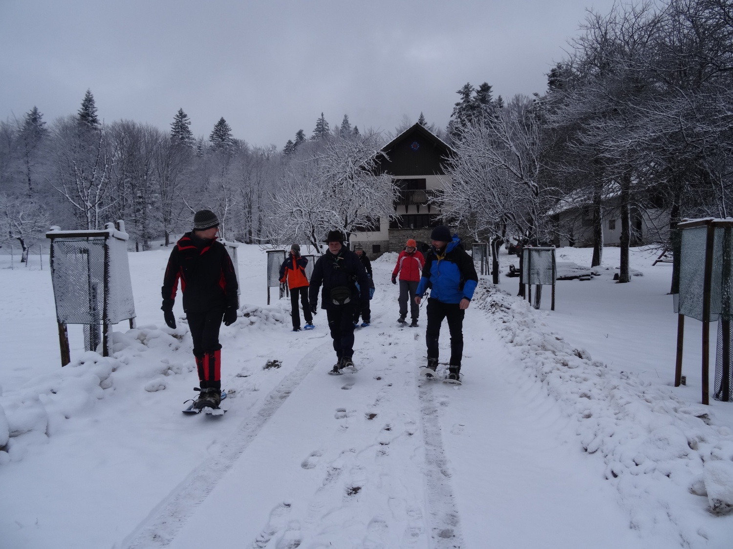 Ali narava pozimi res spi?