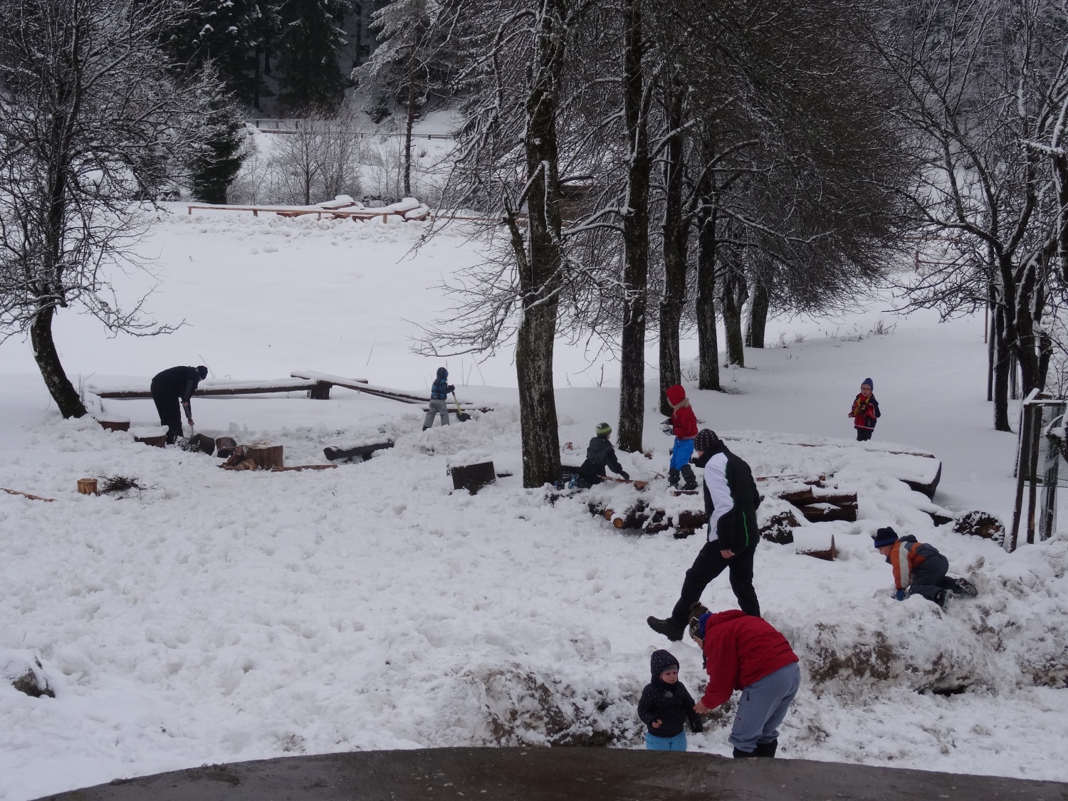 Ali narava pozimi res spi?