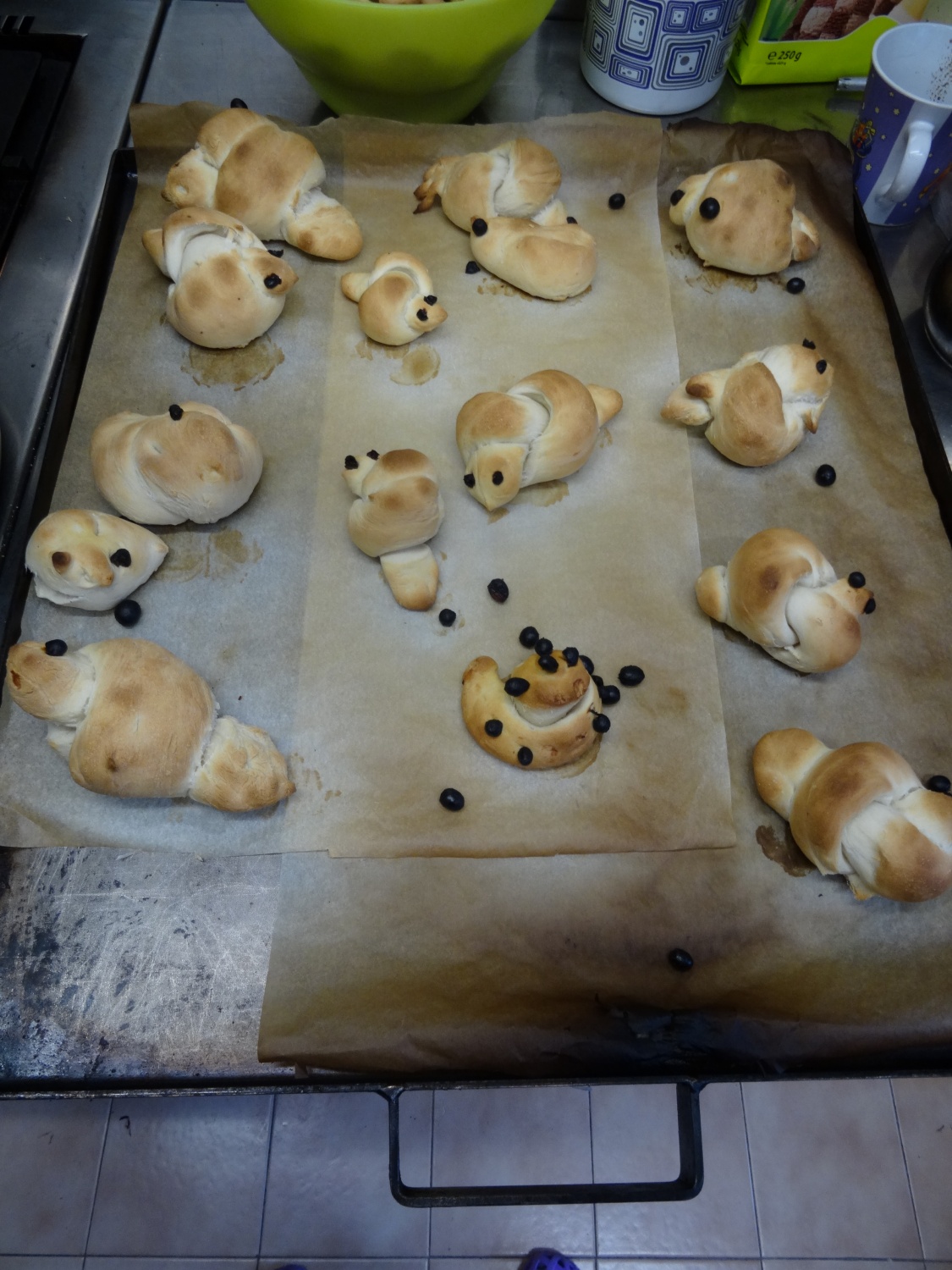 Ali narava pozimi res spi?