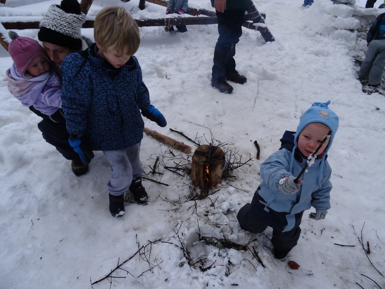 Ali narava pozimi res spi?
