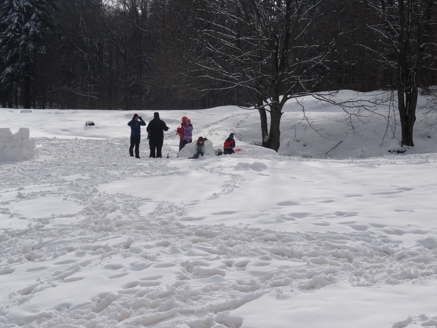 Ali narava pozimi res spi?