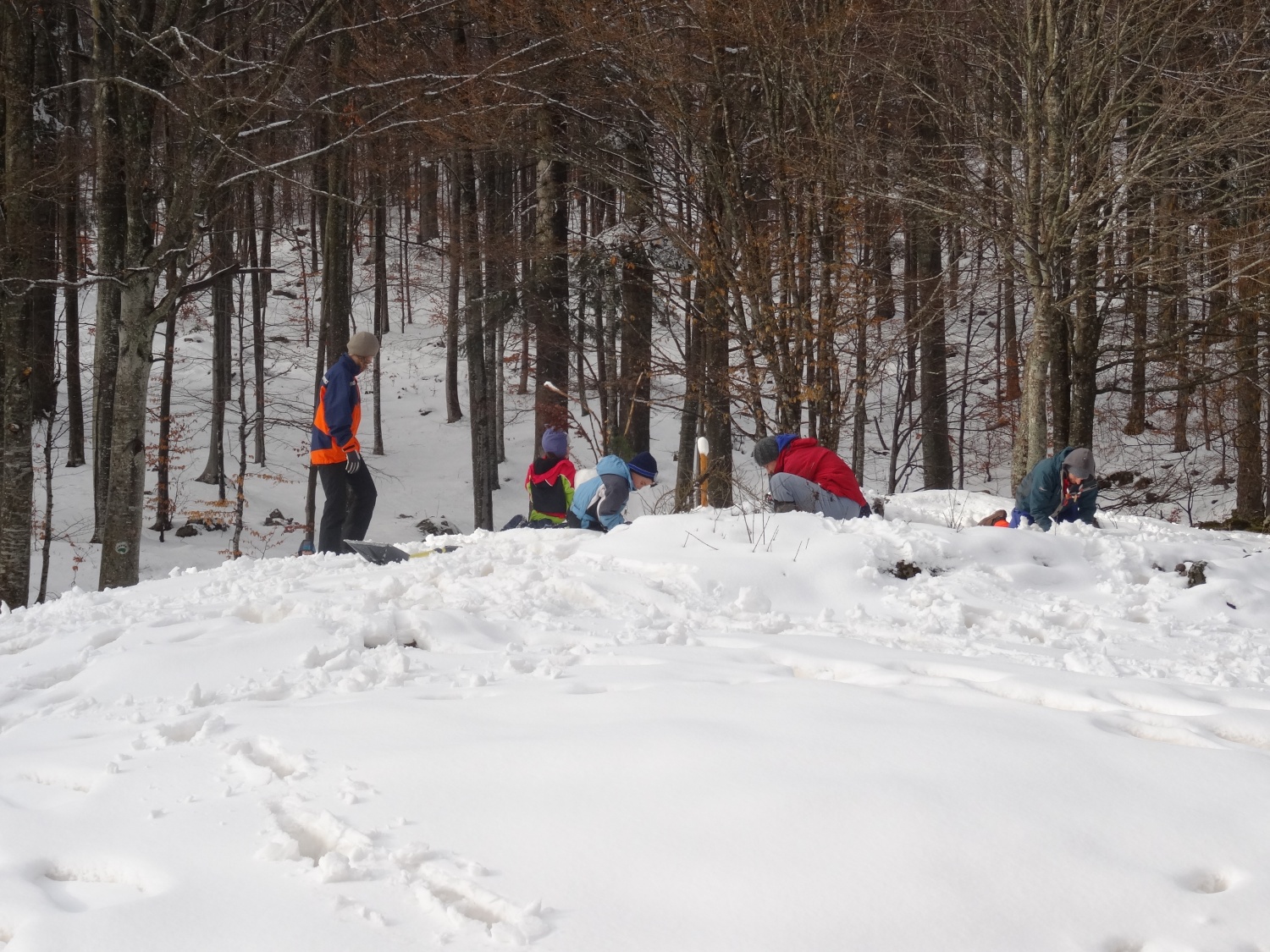 Ali narava pozimi res spi?