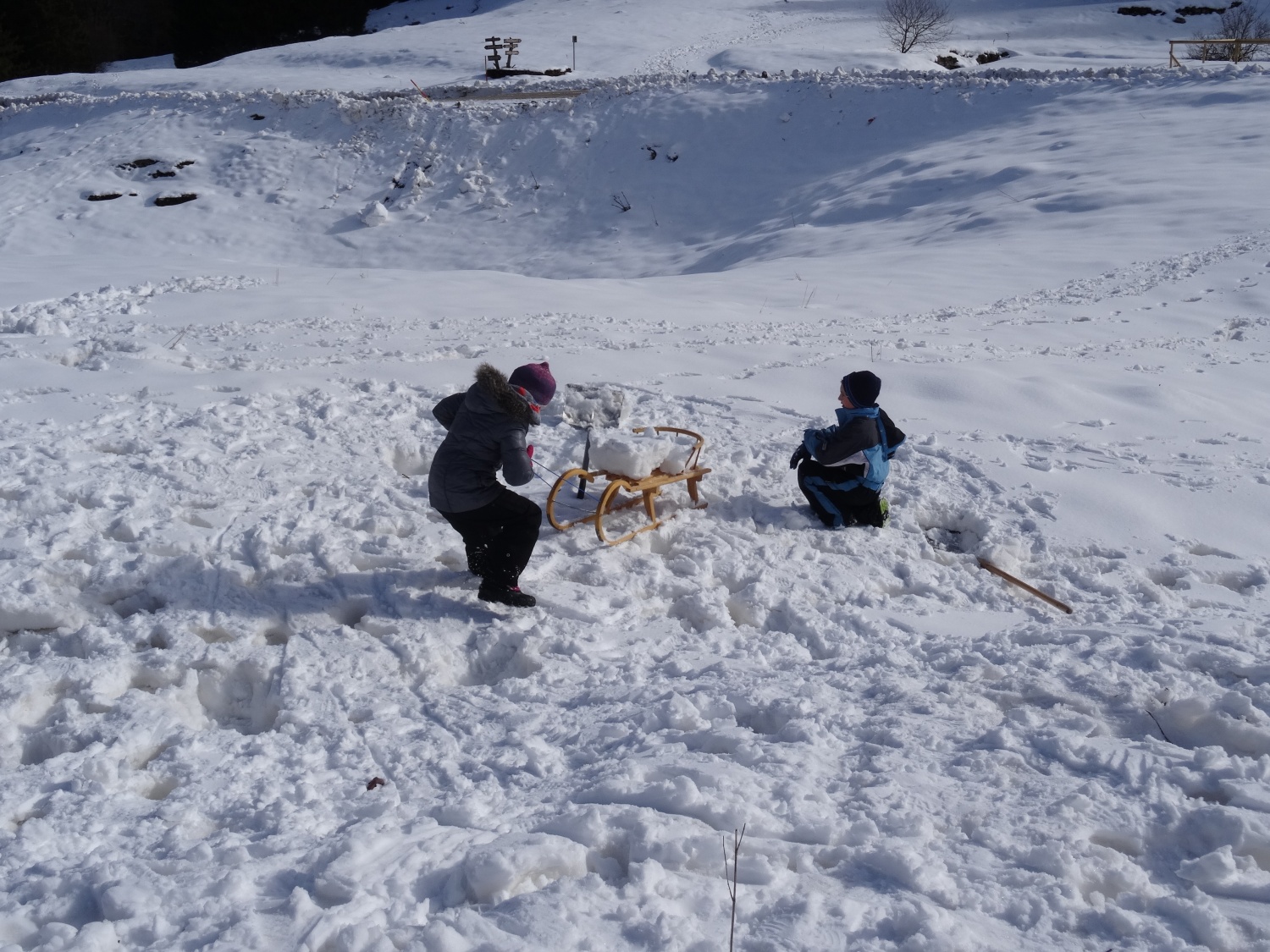 Ali narava pozimi res spi?