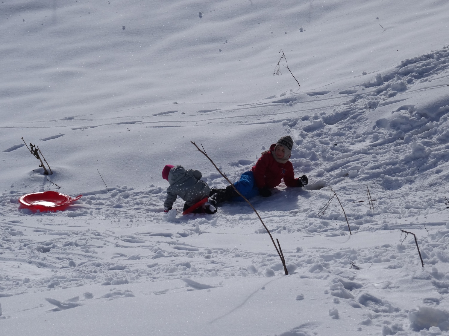 Ali narava pozimi res spi?
