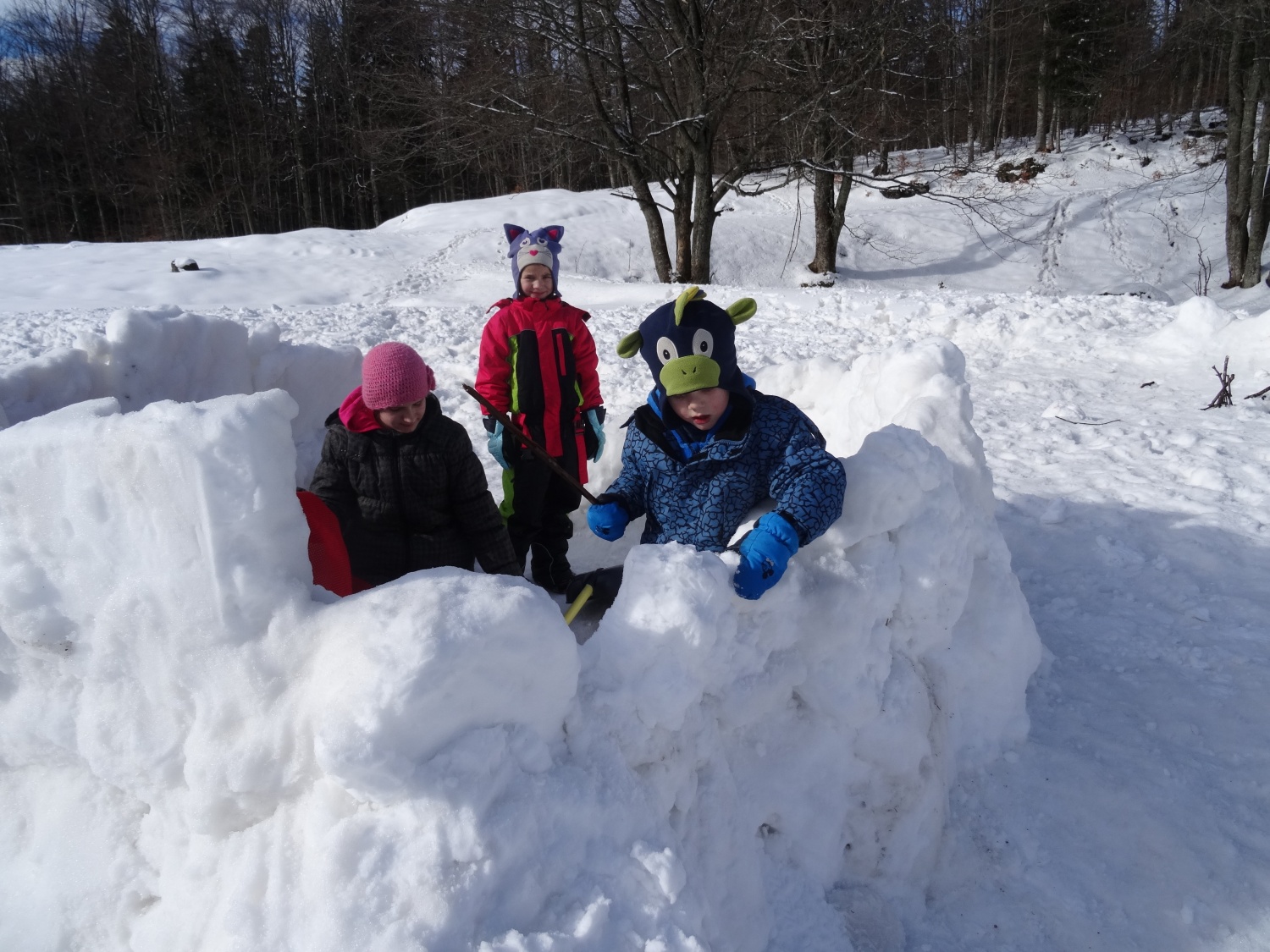 Ali narava pozimi res spi?