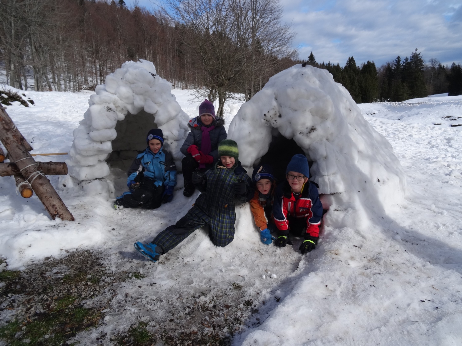 Ali narava pozimi res spi?