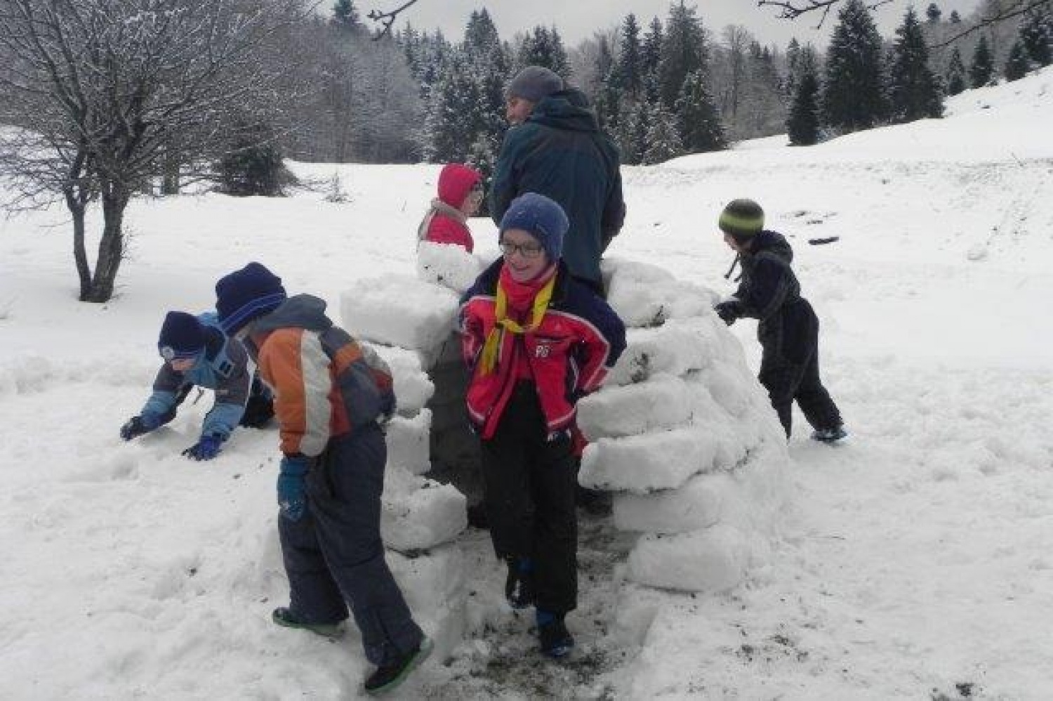 Ali narava pozimi res spi?
