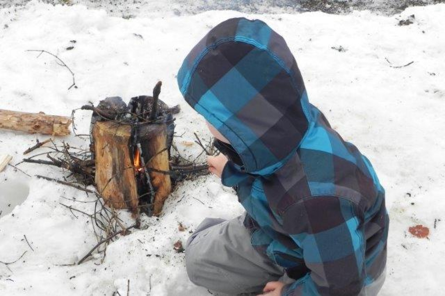 Ali narava pozimi res spi?