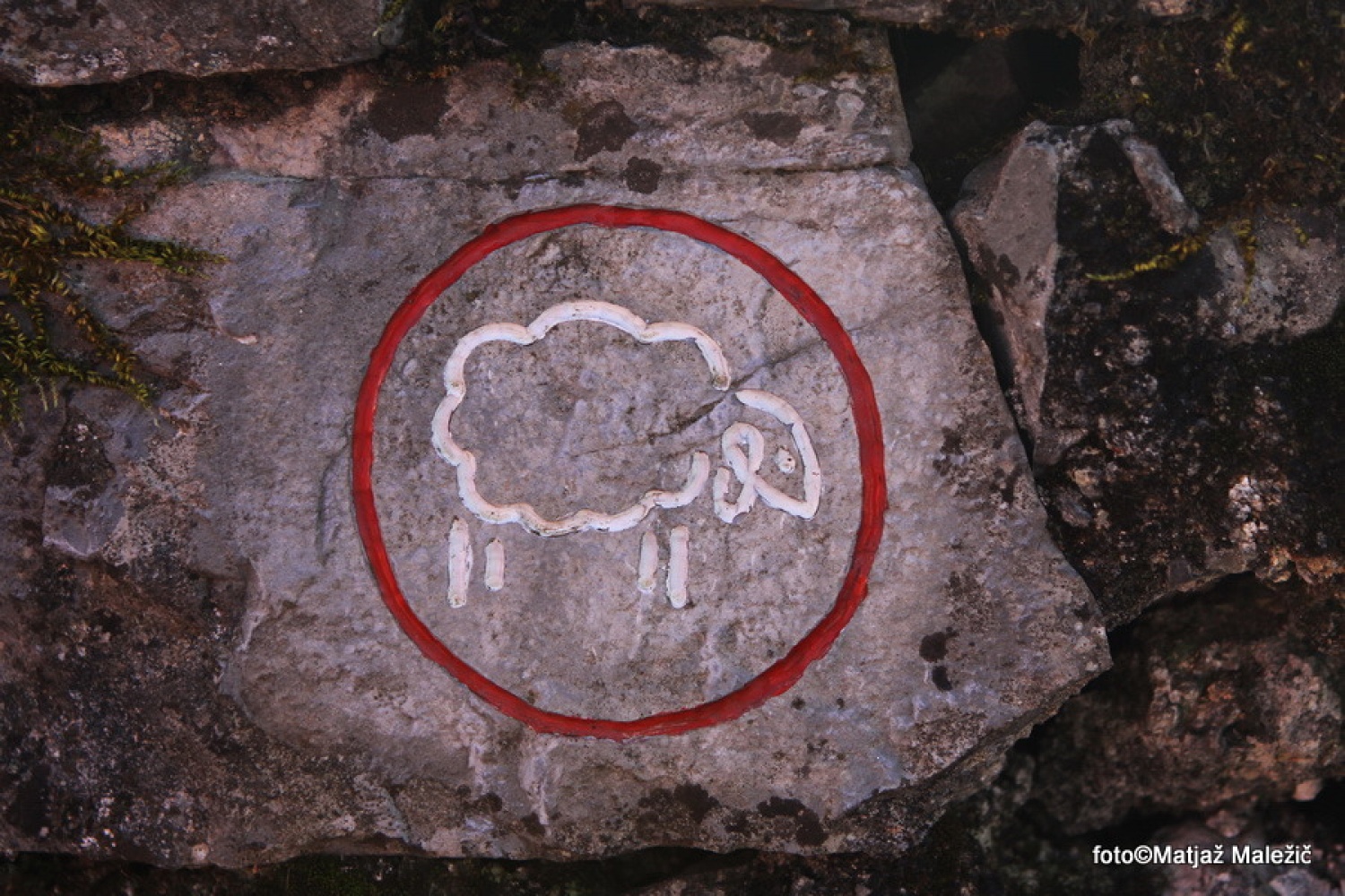 Markacija Pliskine poti