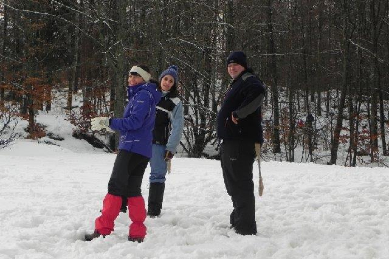 Ali narava pozimi res spi?