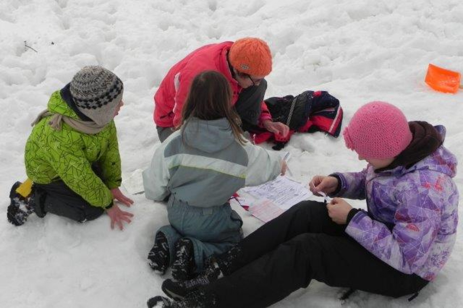 Ali narava pozimi res spi?