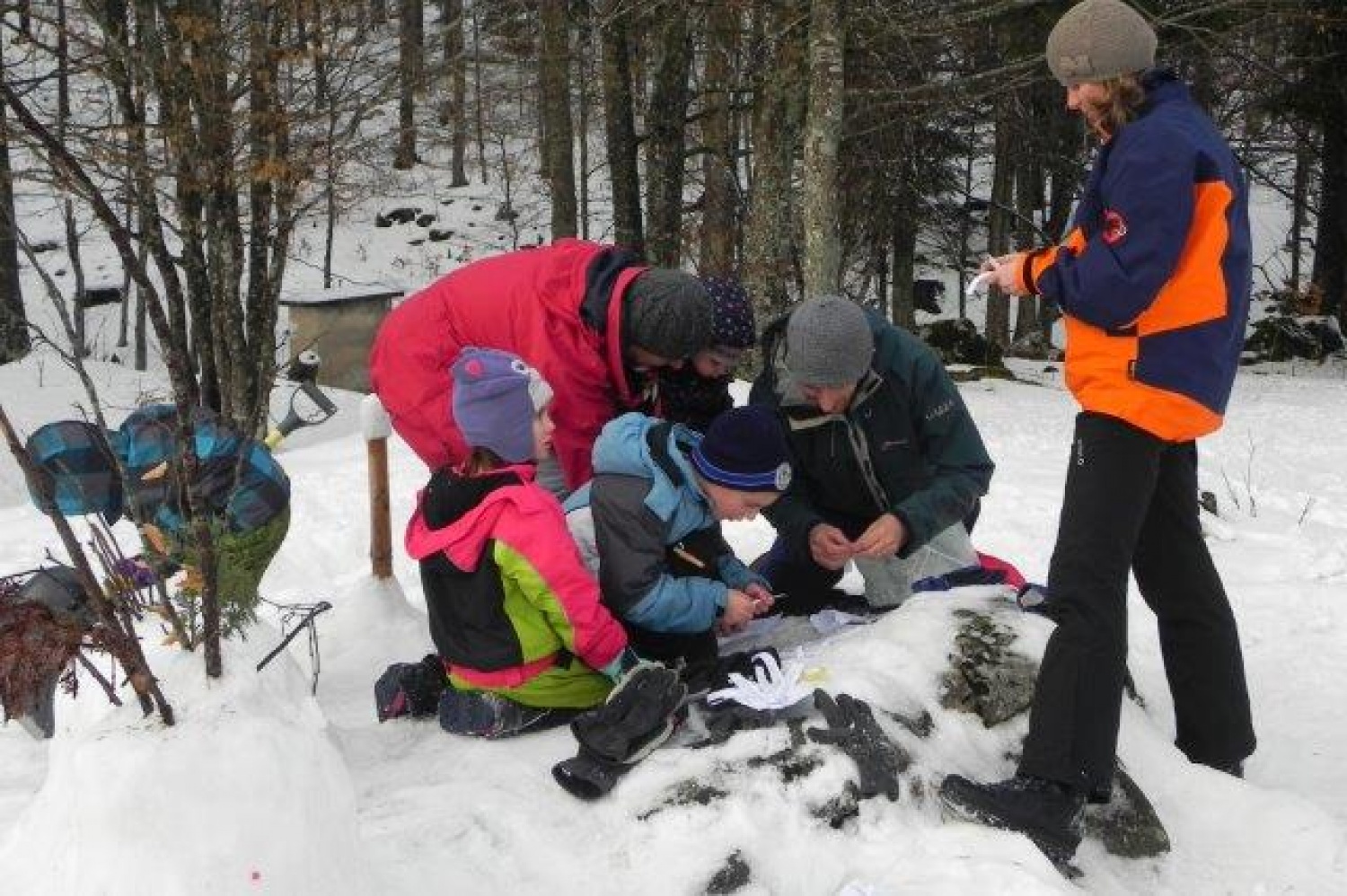 Ali narava pozimi res spi?