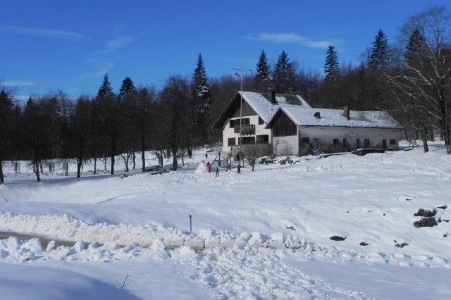 Ali narava pozimi res spi?