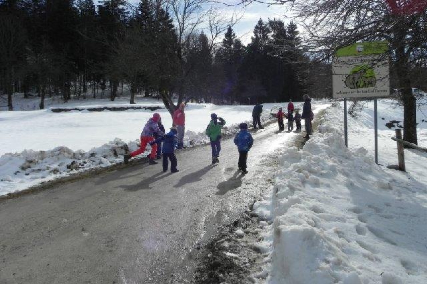 Ali narava pozimi res spi?