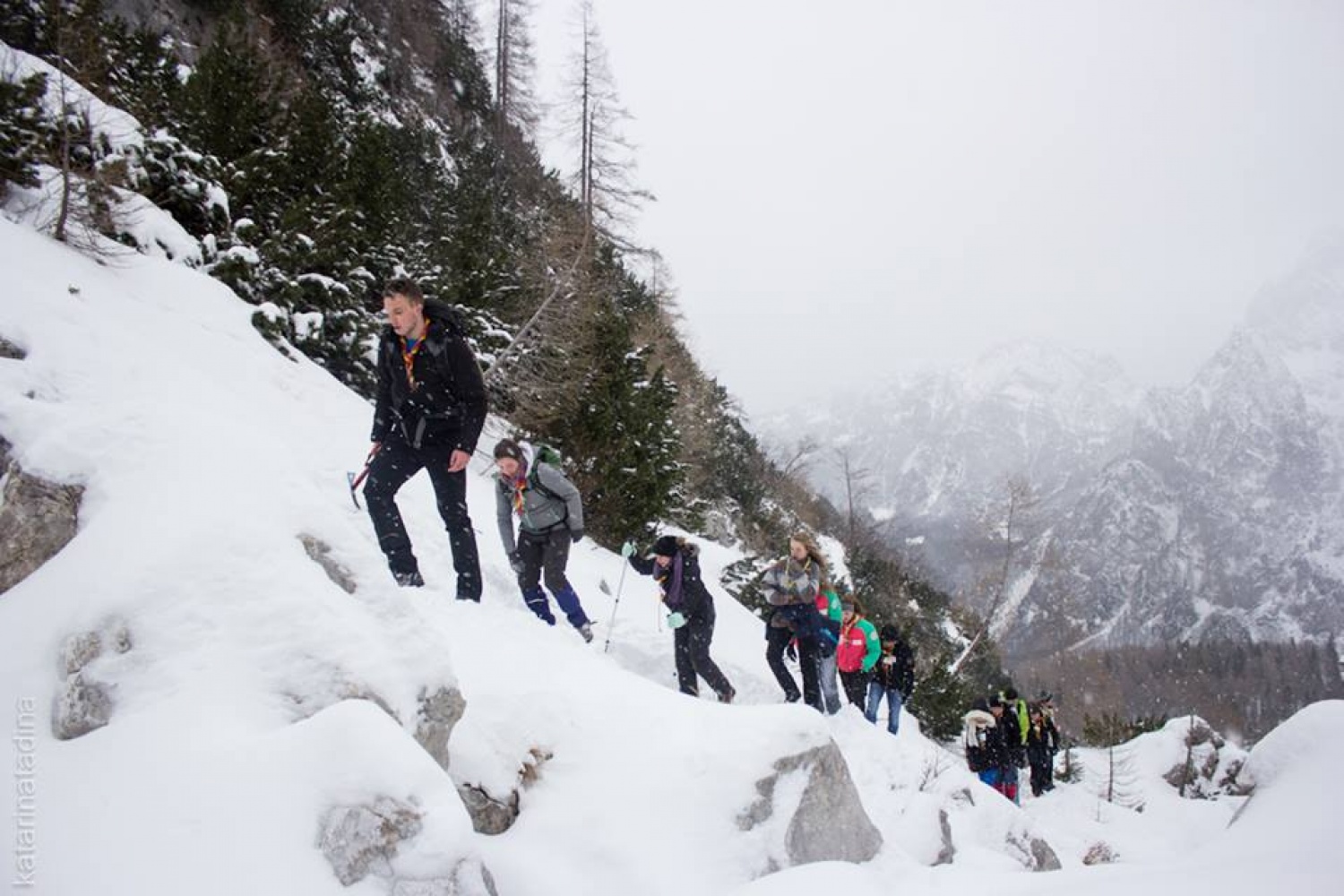 Izsledili smo Belega jelena