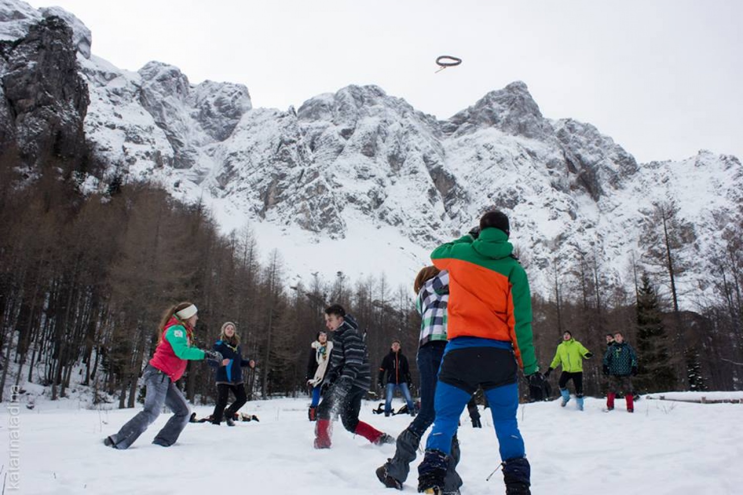 Izsledili smo Belega jelena