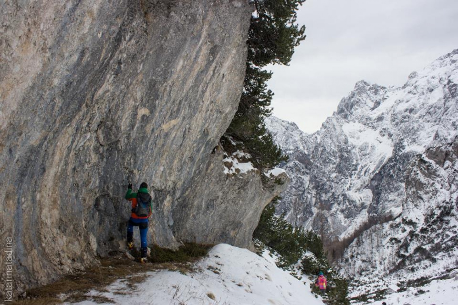 Izsledili smo Belega jelena