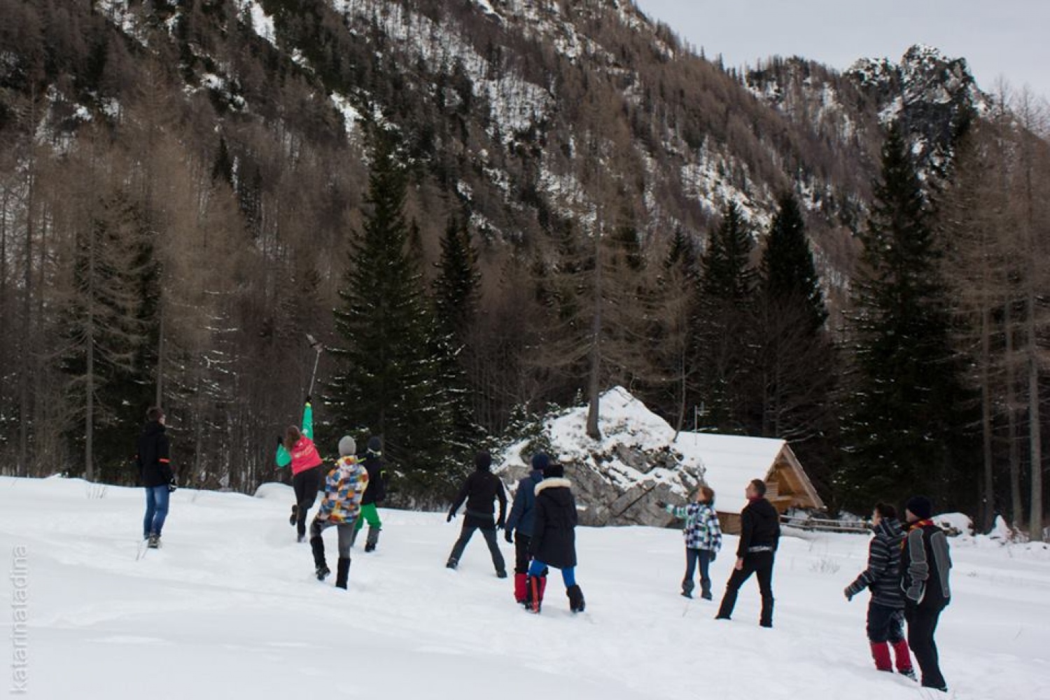 Izsledili smo Belega jelena