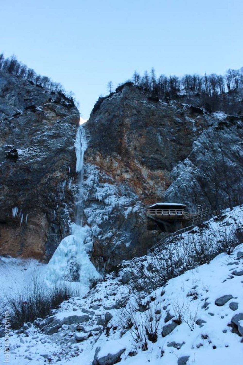 Izsledili smo Belega jelena