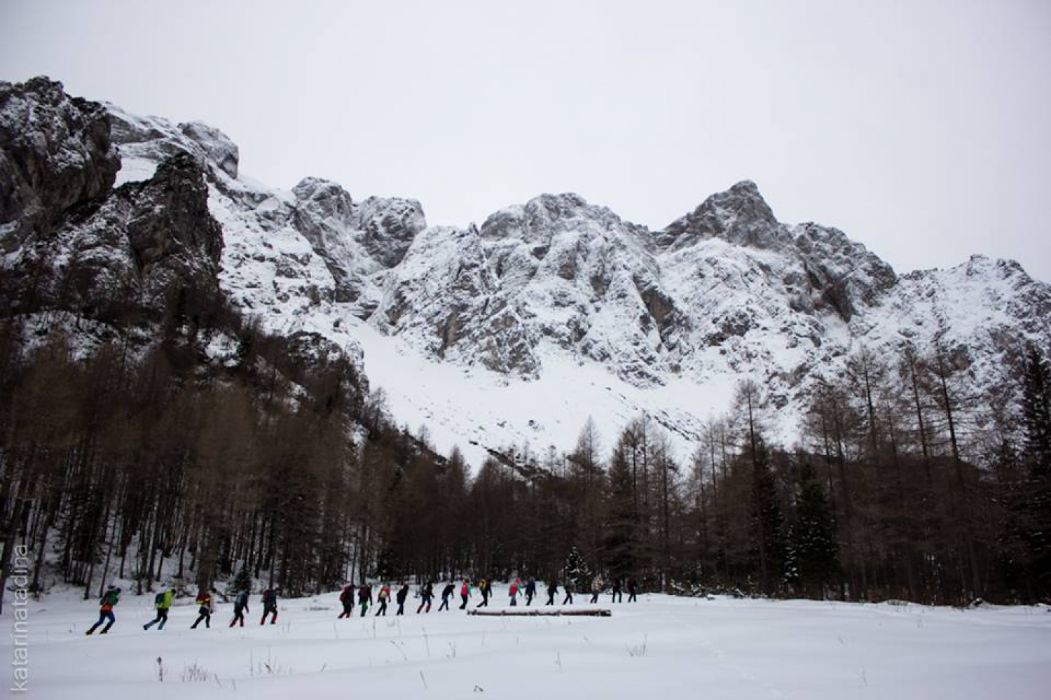 Izsledili smo Belega jelena