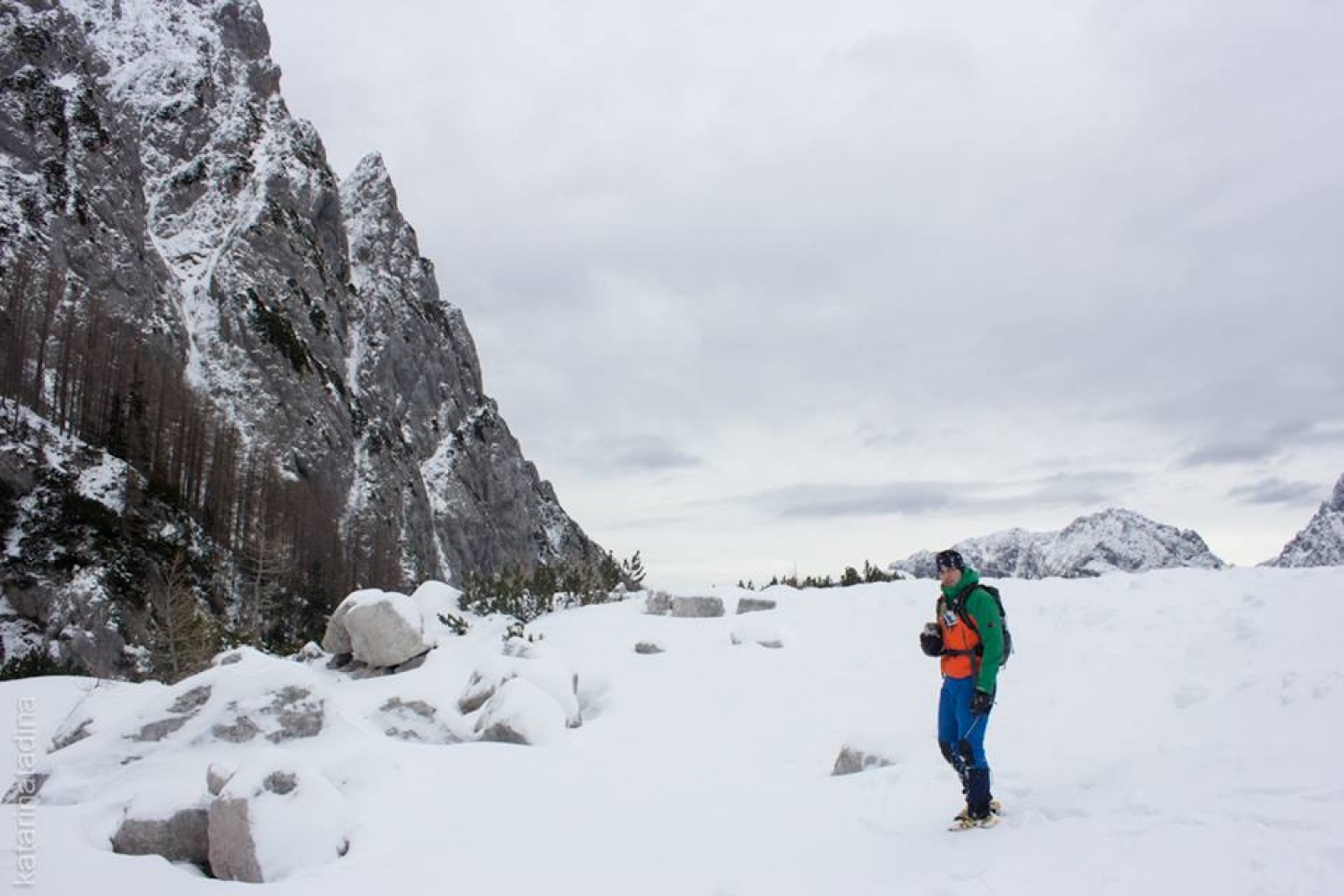 Izsledili smo Belega jelena