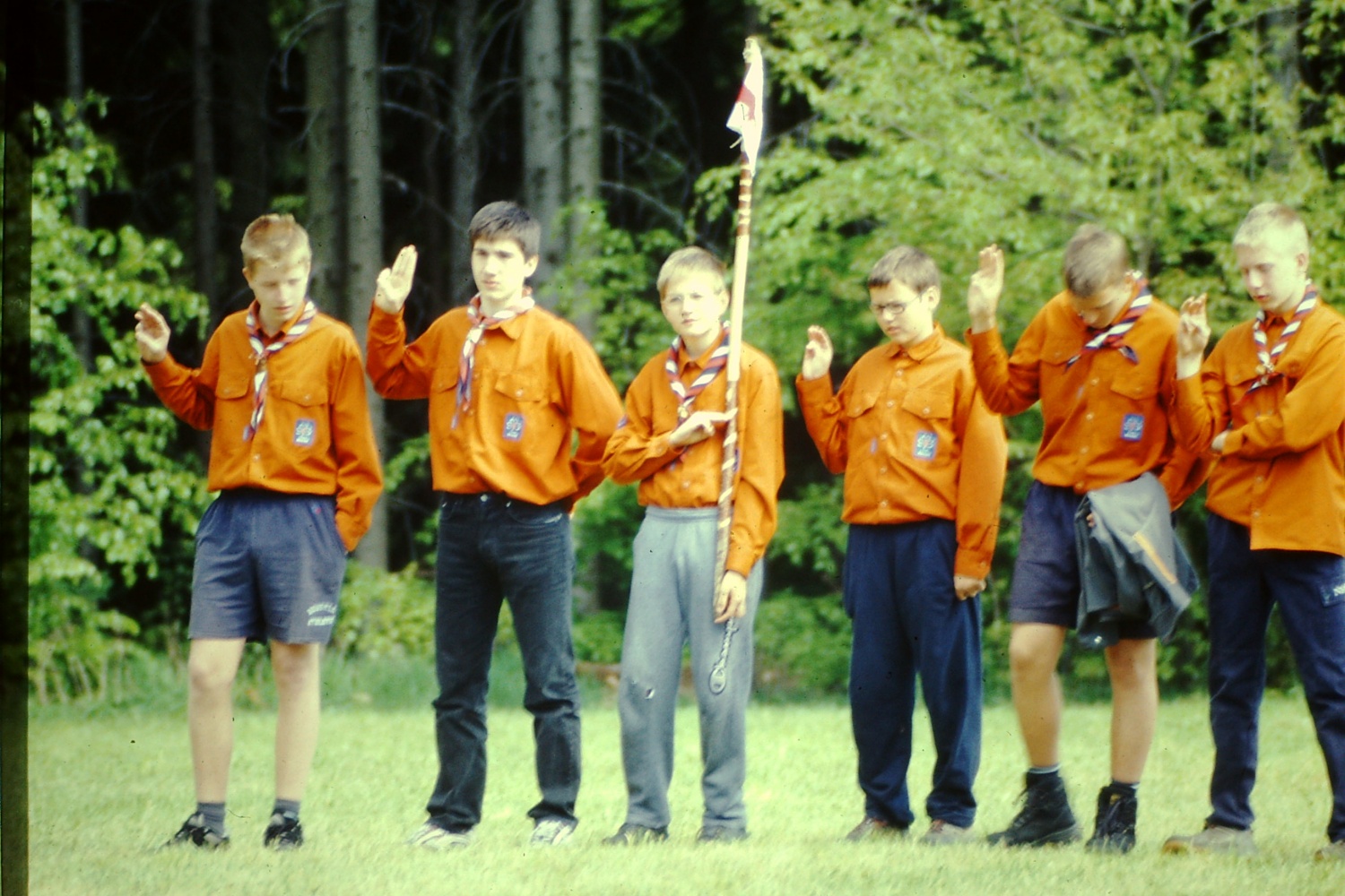 Rok v funkciji zastavonoše