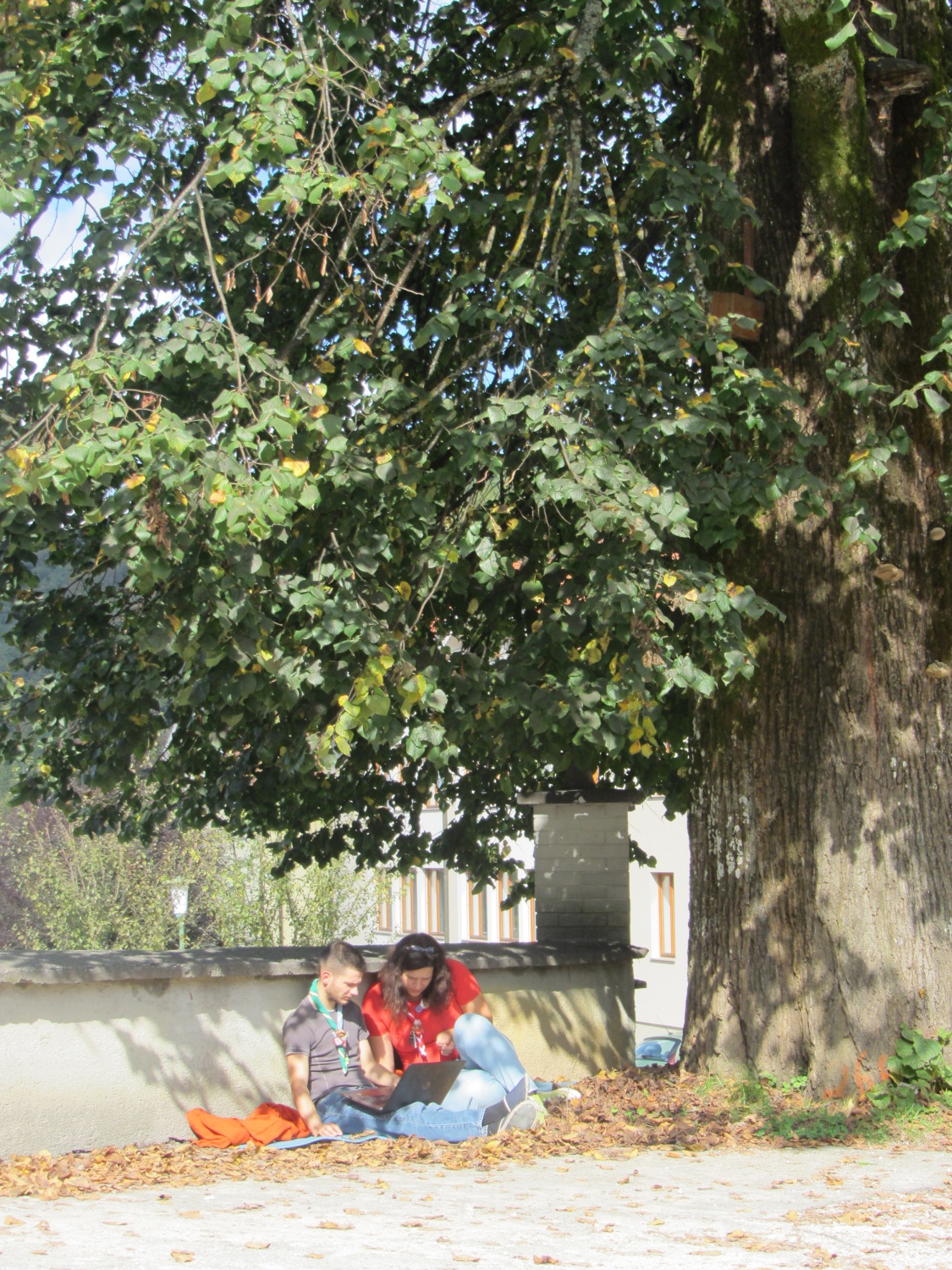 Strateški svet Želimlje