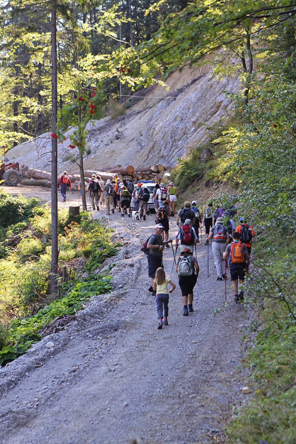 ... najprej po gozdni cesti.