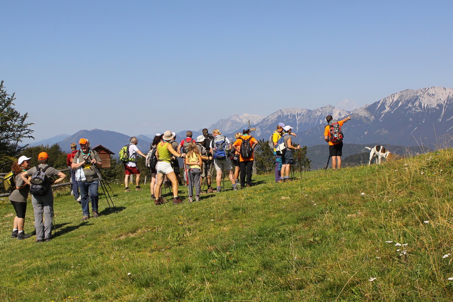 Planina Otavnik - azgled na Julijce