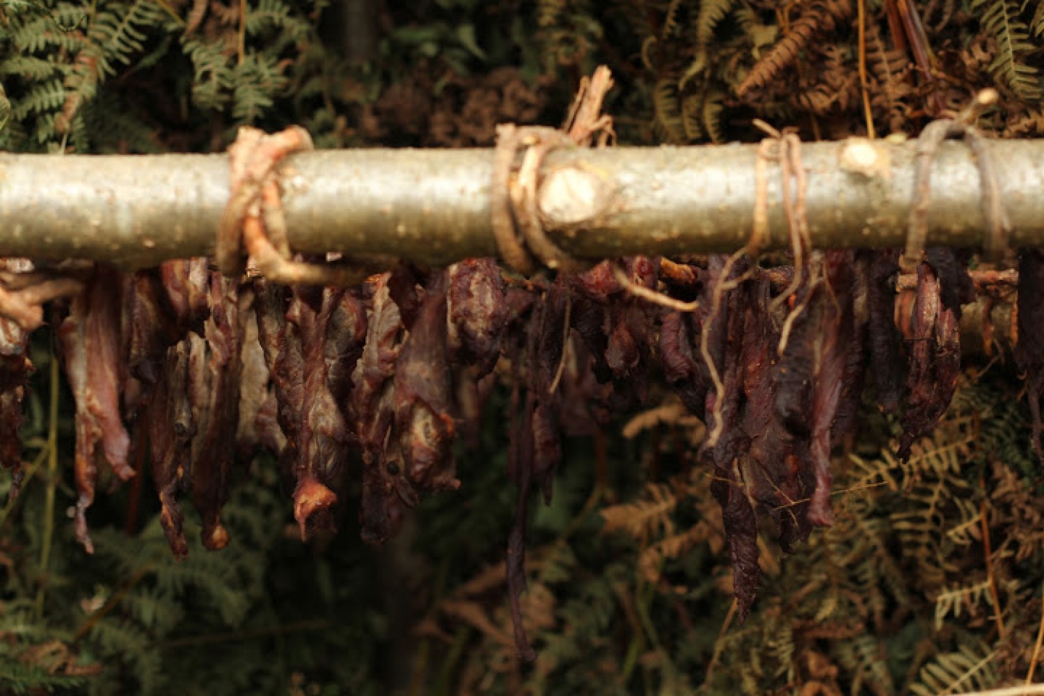 Besede so odveč, vem