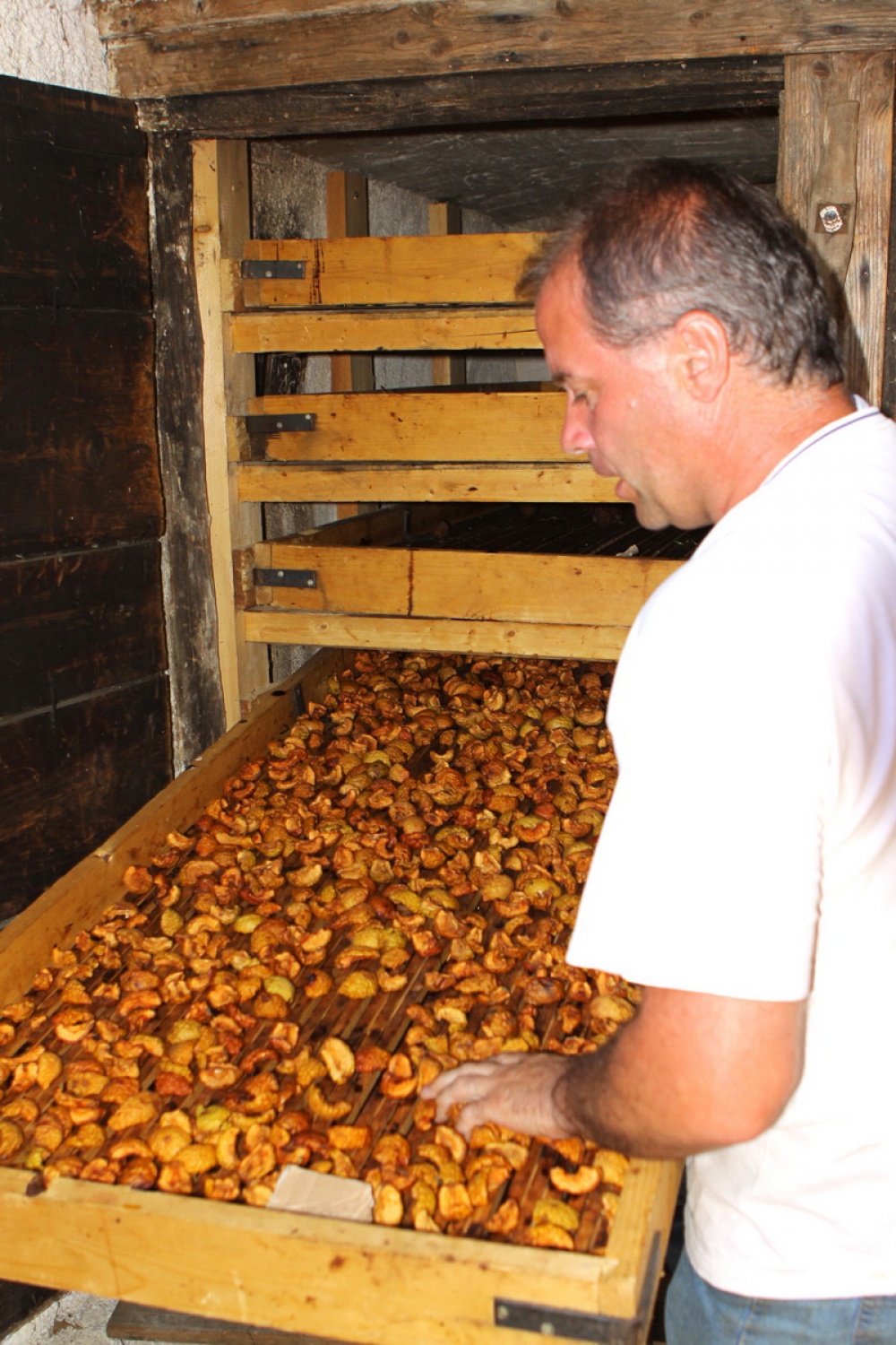 Obnovljena domača sušilnica sadja
