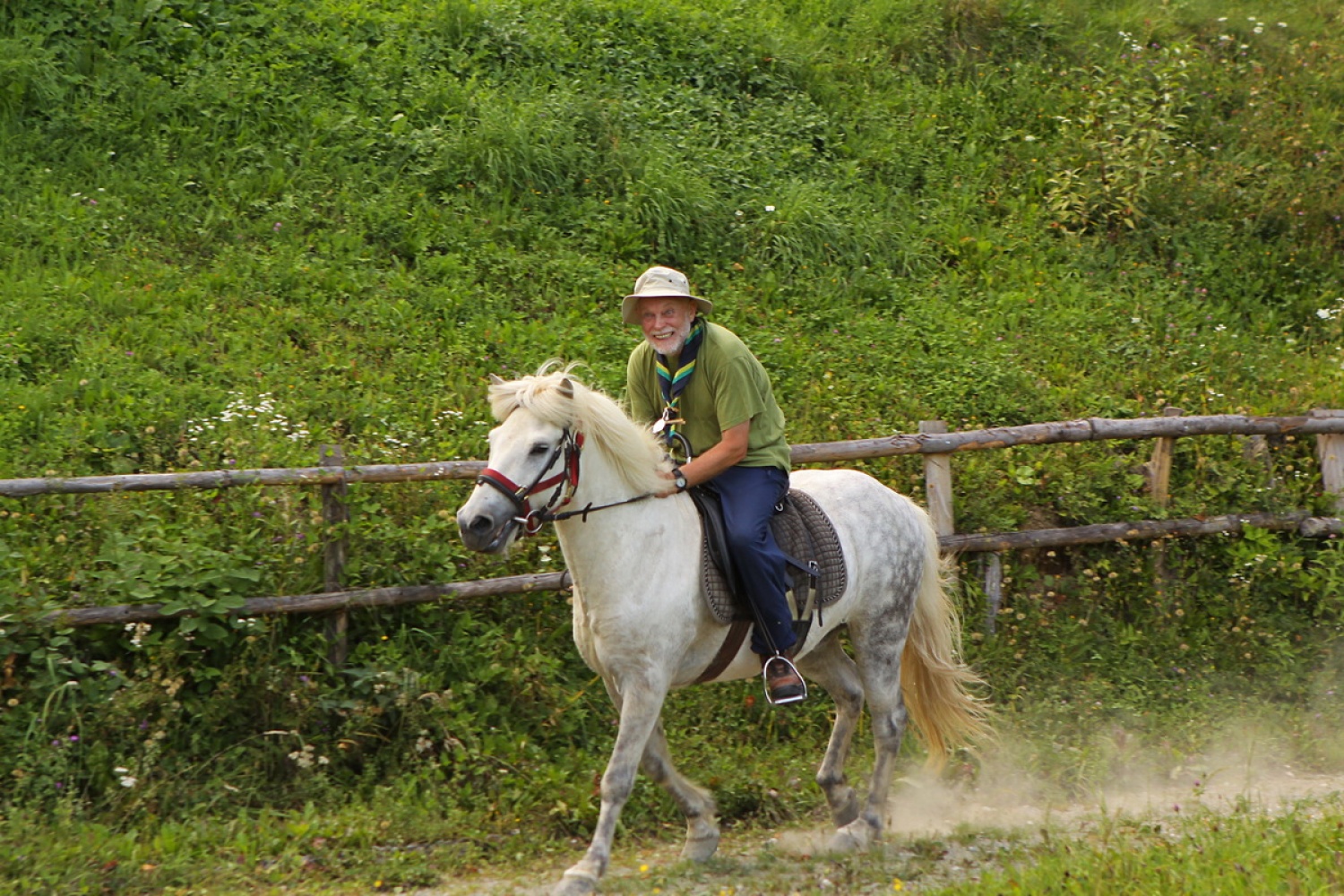 "Domžalski osel na cerljanskem - islandskem konju"