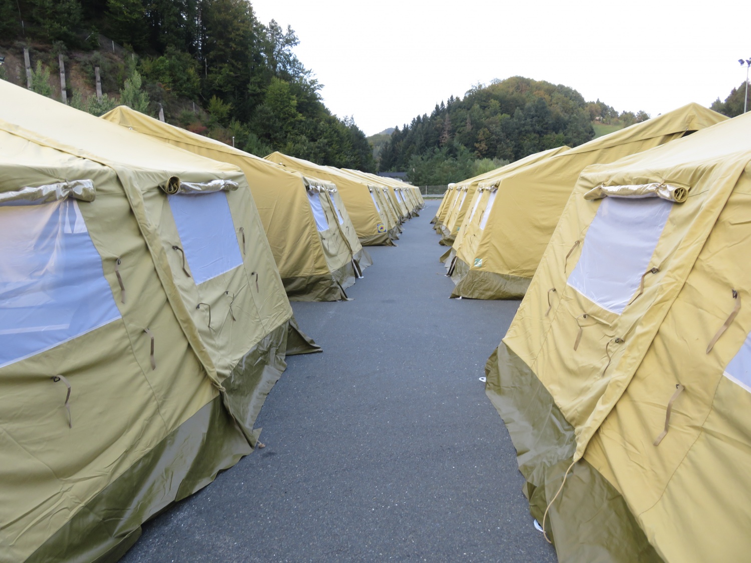 Skavti in begunska kriza