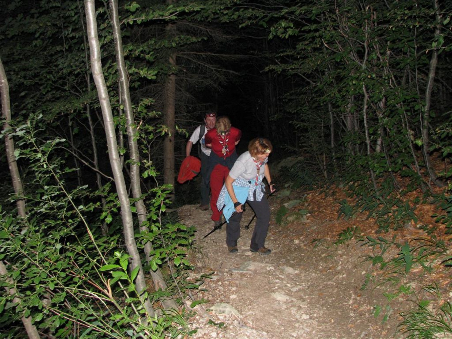 Se počasi vzpenjamo