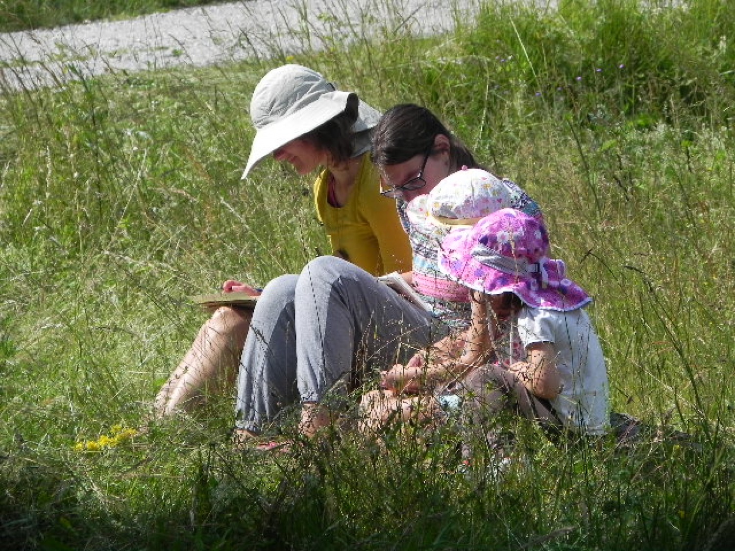 Tabor družin (julij 2014)