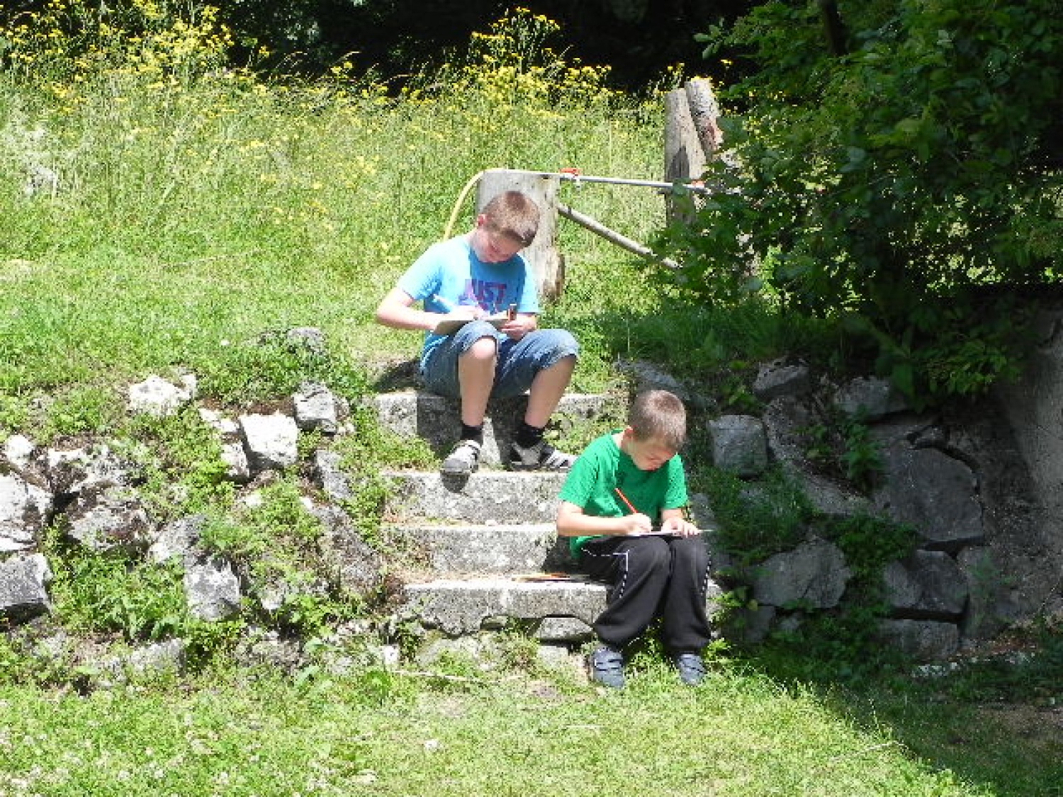 Tabor družin (julij 2014)