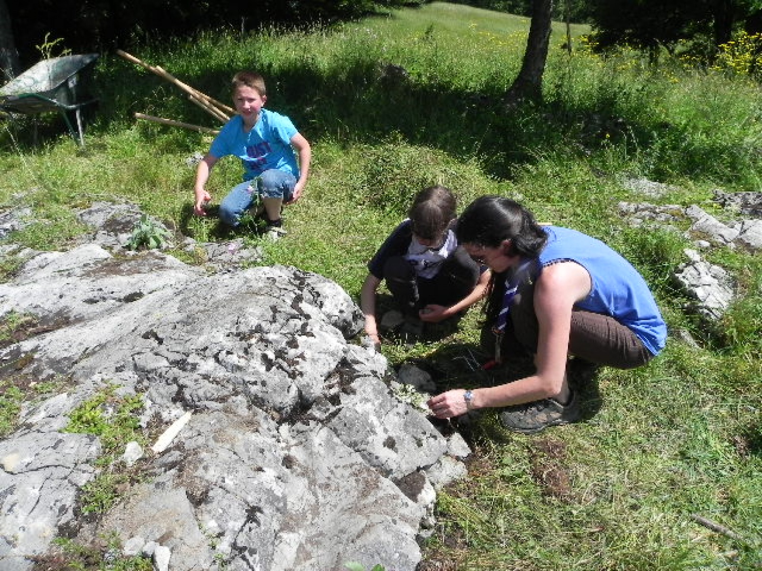 Tabor družin (julij 2014)