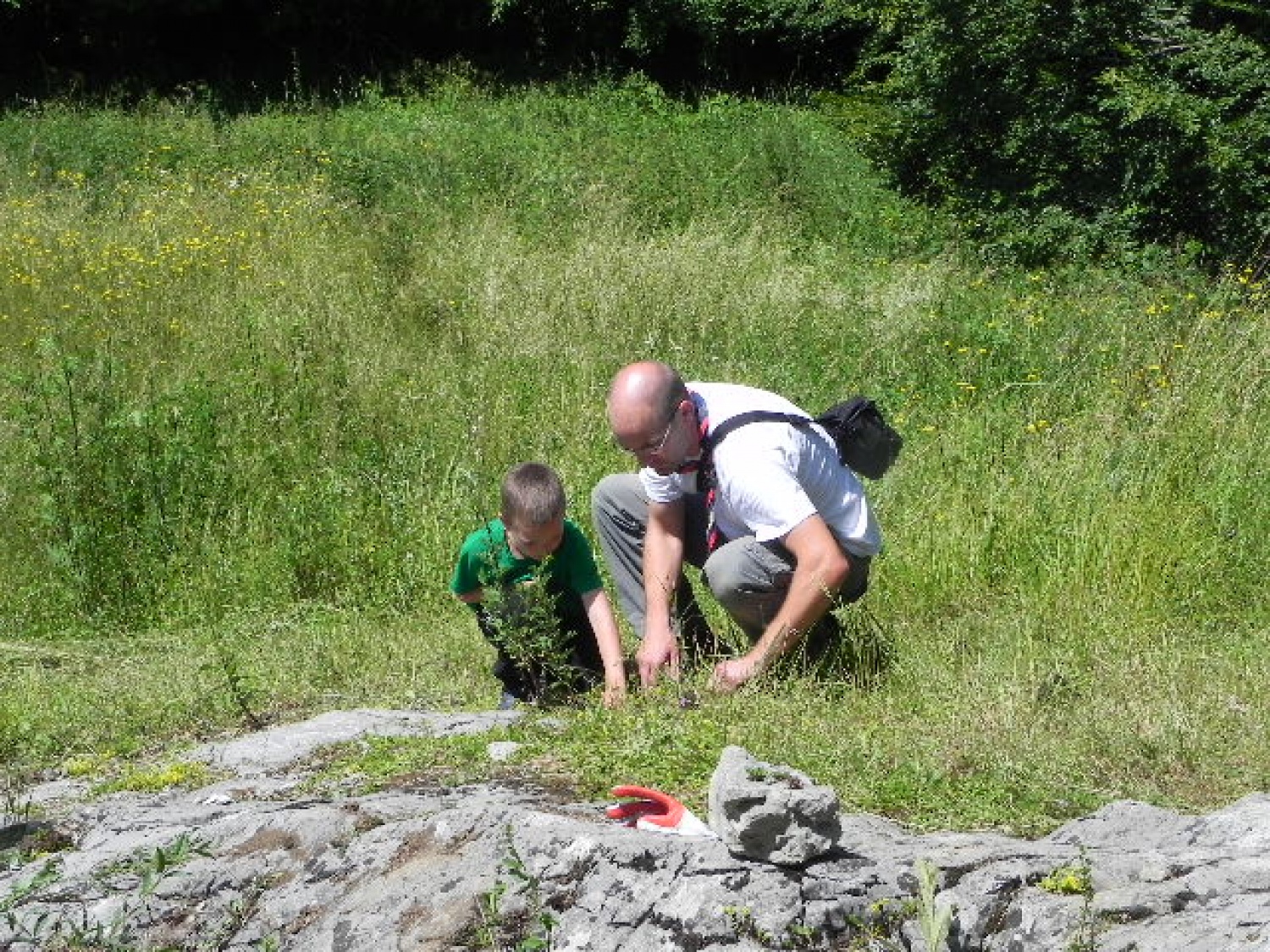 Tabor družin (julij 2014)