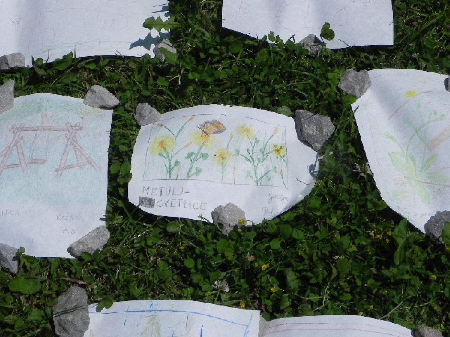 Tabor družin (julij 2014)