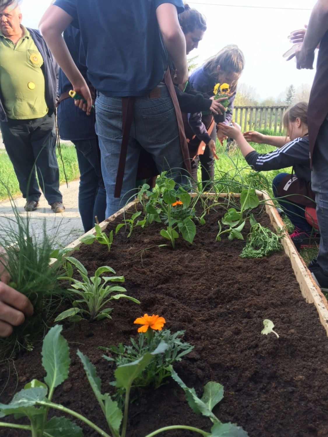 Eksperiment skavtske permakulture v okviru programa Erasmus