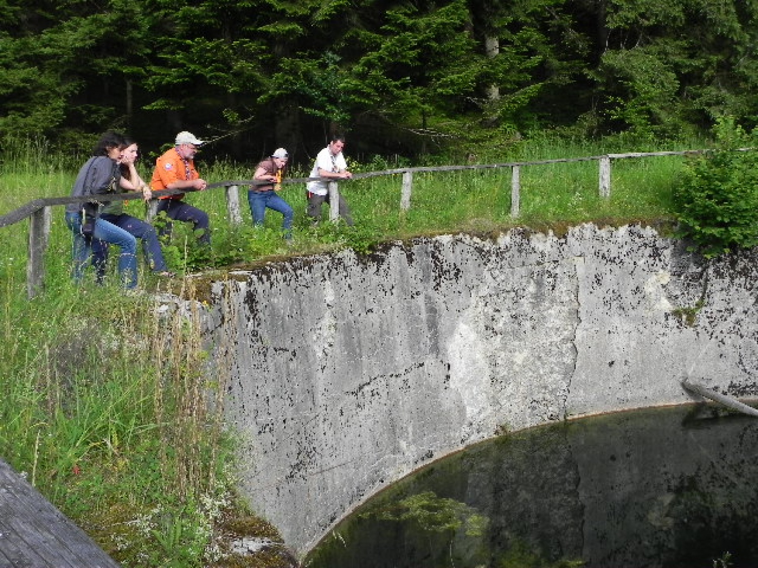 Tabor družin (julij 2014)