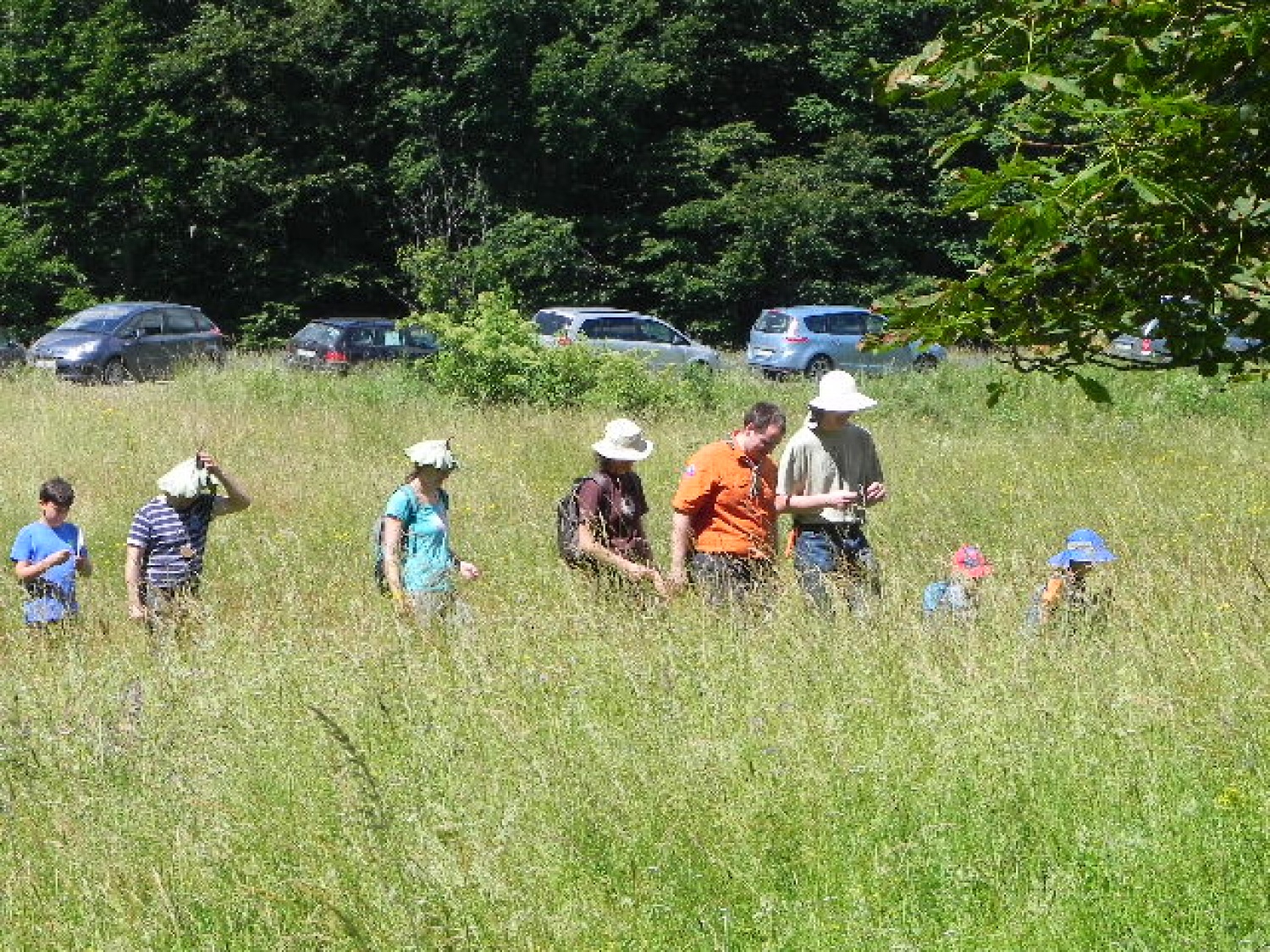 Tabor družin (julij 2014)