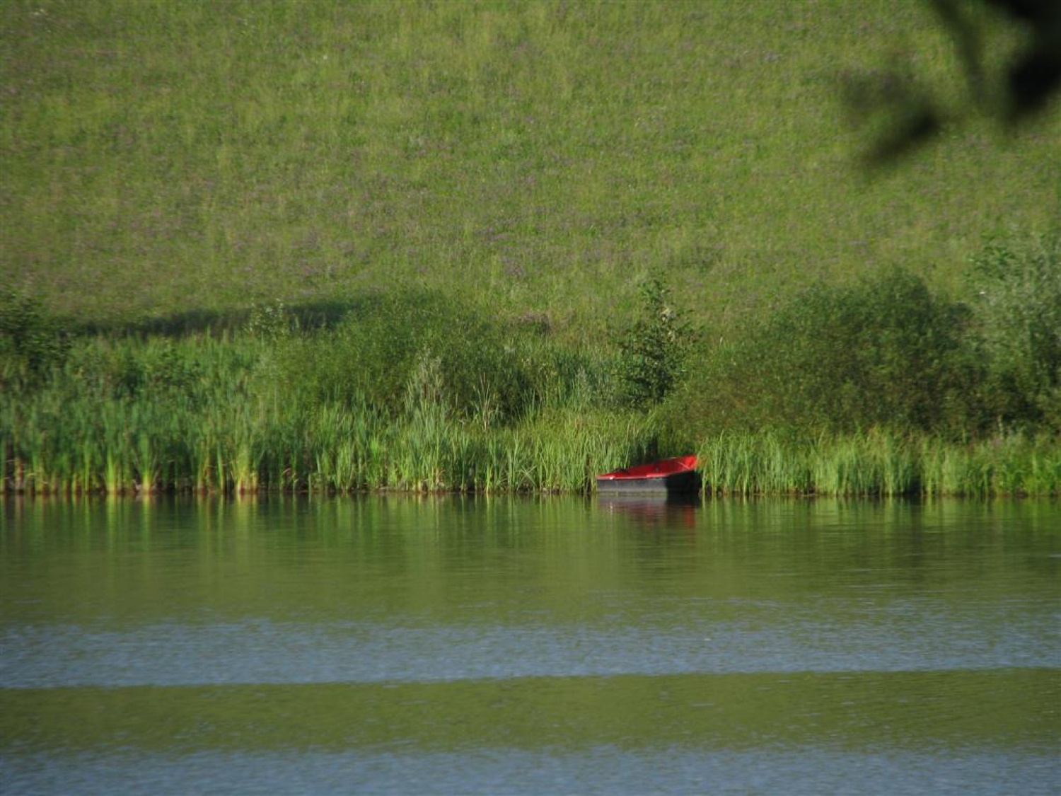 Ob Šmartinskem jezeru pri Celju so trenerji Skavtske akademije ZBOKSS načrtovali nadaljevanje programa. Rezervirajte si jesenske termine.