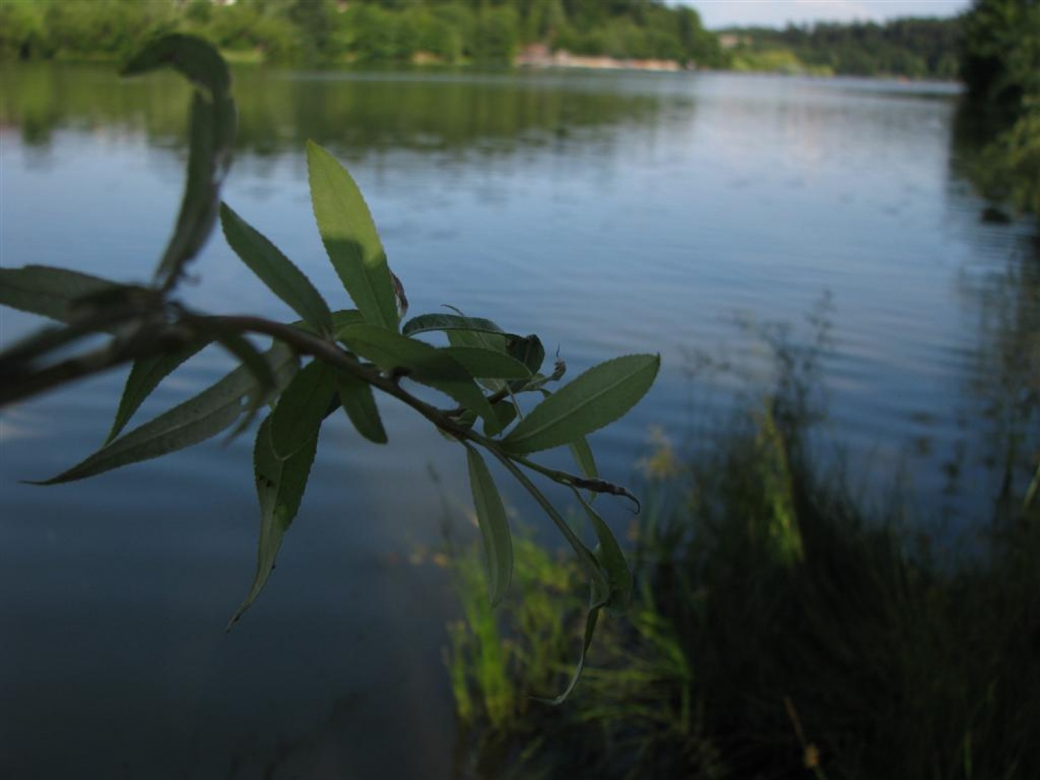 Ob Šmartinskem jezeru pri Celju so trenerji Skavtske akademije ZBOKSS načrtovali nadaljevanje programa. Rezervirajte si jesenske termine.