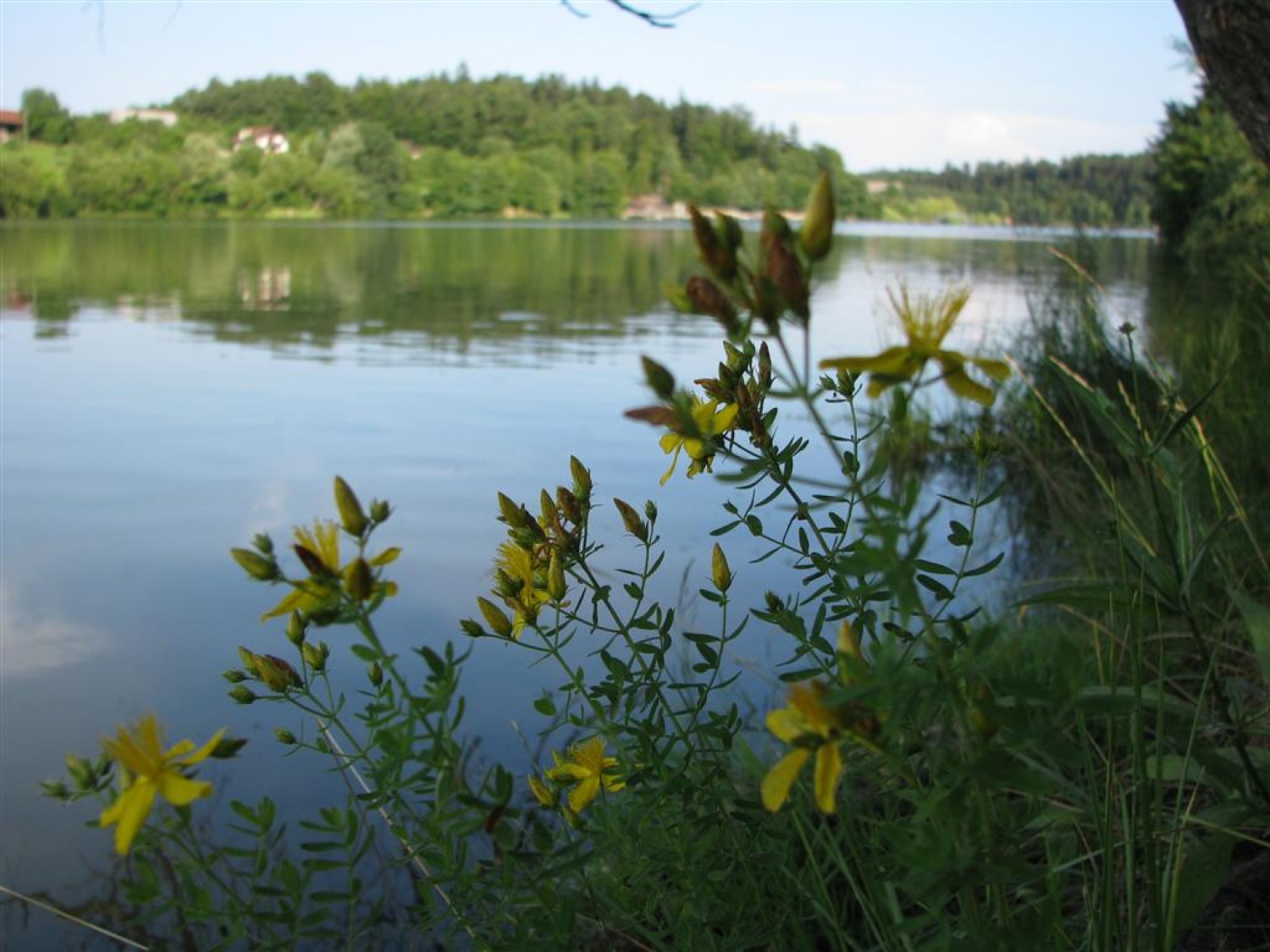Ob Šmartinskem jezeru pri Celju so trenerji Skavtske akademije ZBOKSS načrtovali nadaljevanje programa. Rezervirajte si jesenske termine.