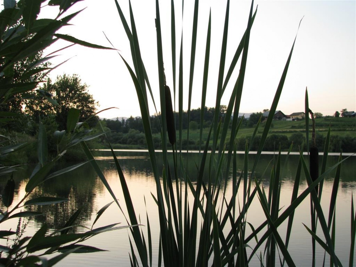 Ob Šmartinskem jezeru pri Celju so trenerji Skavtske akademije ZBOKSS načrtovali nadaljevanje programa. Rezervirajte si jesenske termine.
